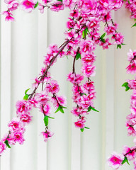Branches with pink sakura flowers and green leaves artificial on a white marble background. Instagram vertical frame
