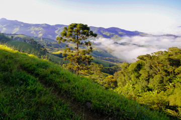Vista para a montanha em São Bento do Sapucaí, interior de São Paulo (Brasil)