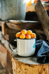 ripe orange apricots lie in a metal white mug, which stands on a wooden background