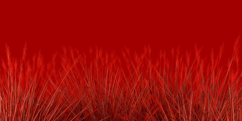 3d image of a barked field plant isolated on a red background, banner, icon, style, signboard, web,...