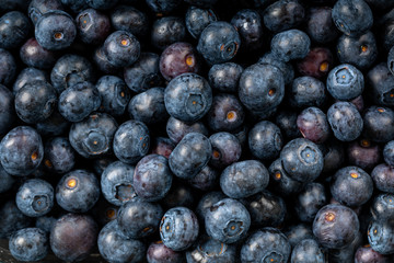 Nahaufnahme von frischen, saftigen Blaubeeren als Hintergrund oder Textur