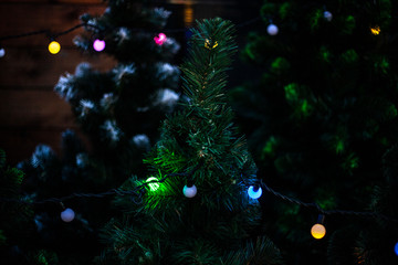 Garlands on the Christmas tree.