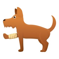 Dog broken leg icon. Cartoon of dog broken leg vector icon for web design isolated on white background