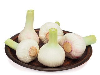 Fresh young garlic in a plate isolated on a white background