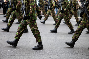 soldiers on uniform, parade