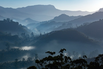 Misty morning from Munnar,Kerala- landscape of misty mountain,hill station of Kerala