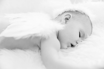 Baby Peacefully Sleeping whilst Wearing Angel Wings and Halo