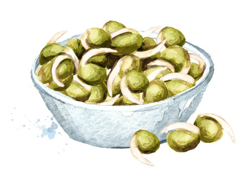 Sprouted mung beans. Hand drawn watercolor illustration, isolated on white background