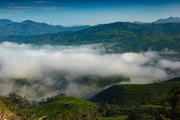 Misty morning from Chokramudi.Munnar,Kerala- landscape of misty mountain,hill station of Kerala