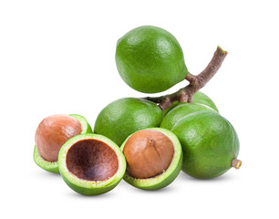 macadamia nuts isolated on white background