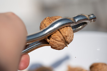 Walnuss mit der Hand auf knacken