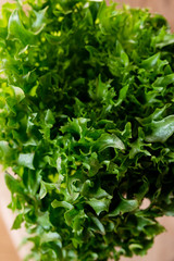 Lettuce on a dark background, healthy eating concept