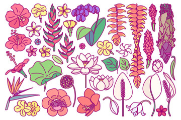 vector big exotic flower set. cute drawn plant art