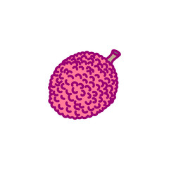 vector hand drawn cute fruit clip art. lychee