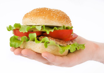 Hamburger with cutlet and vegetables