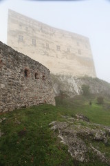 ruins of the castle