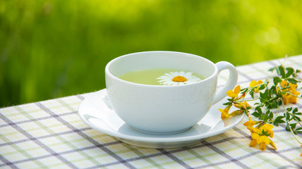 Tea with chrysanthemum in white ceramic cup on saucer, yellow flowers on the table, green blurry background