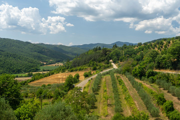 Fototapeta premium Summer landscape near Monte Santa Maria Tiberina, Umbria, Italy