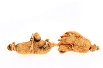 Ginseng on a white background