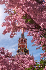 Spring Red Square. Framing a Moscow landmark with flowers. Lilac and Spasskaya tower.