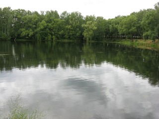 Pond