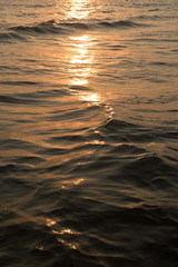 Sunset Sea Water Close Up at Golden Hour