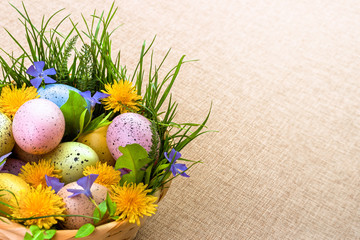 Easter. Congratulations on the spring holiday of Easter. Colorful eggs in a basket decorated with flowers and grass.