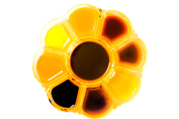 Compartments for coloring and drawing