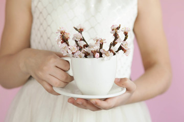 Spring consept. Blooming cherry flowers on twigs in a cup in the hands of a young girl indoors.