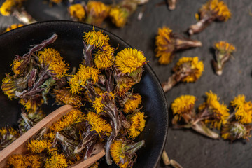 dry dried coltsfoot for medical alternative tea remedy close up detail 