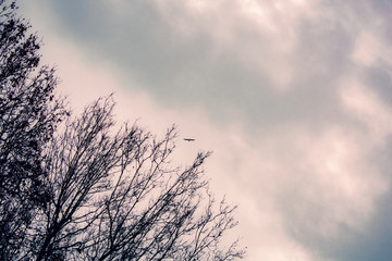 Overcoming obstacles