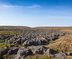 limestone pavement