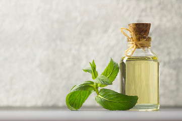 Glass bottle of peppermint essential oil with fresh green mint leaves on rustic background