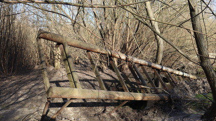 abandoned rustic ladder in forest