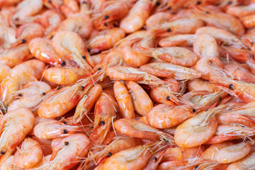 Boiled shrimps on white background. macro
