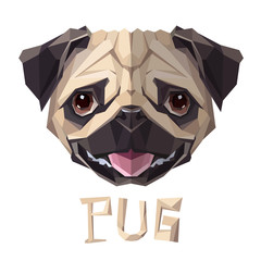Pug funny Dog low poly design. Triangle vector illustration.