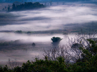 Fog in The Mountain before Morning  on The Ground