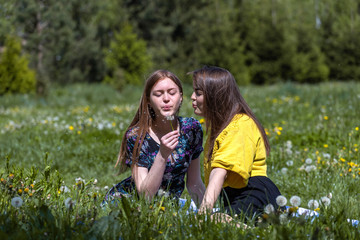 Fototapeta premium Young girls have fun time in the park. Girl blowing on fluffy dandelion flower. Happy sisters are enjoying a warm spring day