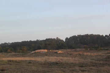 Vista parcial del parque natural de Riveira