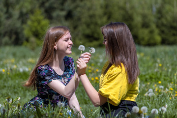 Young girls have fun time in the park.  Girl blowing on fluffy dandelion flower. Happy sisters are enjoying a warm spring day