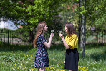 Young girls have fun time in the park.  Girl blowing on fluffy dandelion flower. Happy sisters are enjoying a warm spring day
