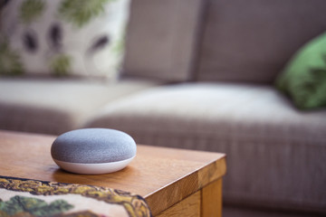 voice controlled smart speaker in living room