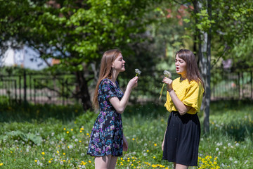 Obraz premium Young girls have fun time in the park. Girl blowing on fluffy dandelion flower. Happy sisters are enjoying a warm spring day