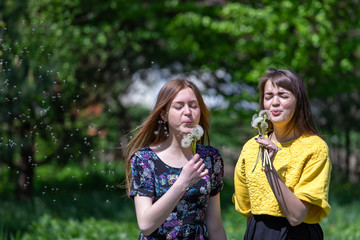 Fototapeta premium Young girls have fun time in the park. Girl blowing on fluffy dandelion flower. Happy sisters are enjoying a warm spring day