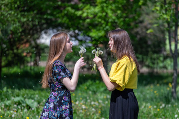 Obraz premium Young girls have fun time in the park. Girl blowing on fluffy dandelion flower. Happy sisters are enjoying a warm spring day