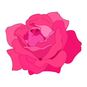 vector rose flower clip art on white isolated background
