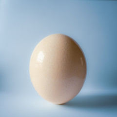 Ostrich egg with blue background.