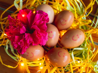 Brown fresh eggs with smiling faces on straws, hibiscus flower and lights, Easter concept.