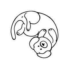 Hand-drawn doodle dog lying on its back. Linear illustration. Vector image of a dog.