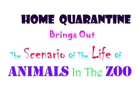 Home Quarantine